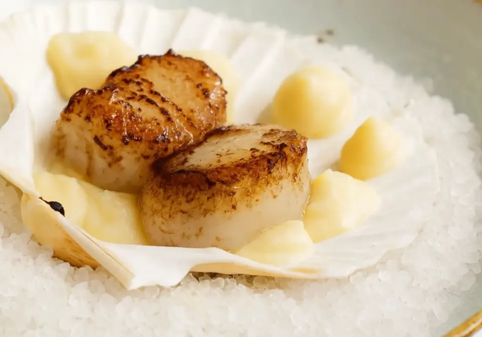 Noix de Saint-Jacques snackées dans leur coquille
